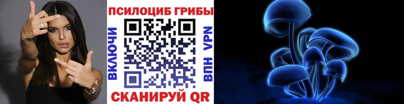Галлюциногенные грибы Psilocybine cubensis  Ишим 